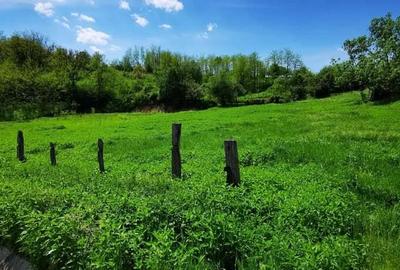 Teren plan Ezeris intravilan 4000 mp utilitati fundatie negociabil - 1