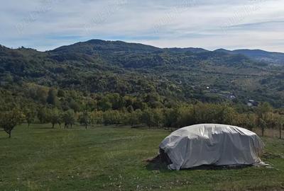 Teren de 8316 mp, în Berislăvești - 4