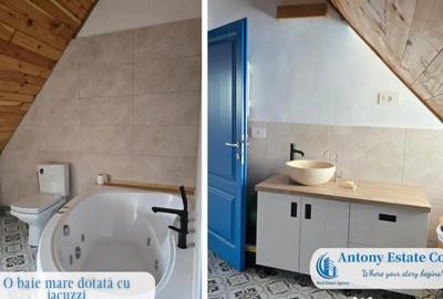 Casă cu 5 camere cu Teren 28000 Mp în Roșia - 12