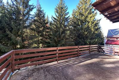 Pensiune de vanzare in statiunea Paltinis,Sibiu- Afacere la cheie - 18