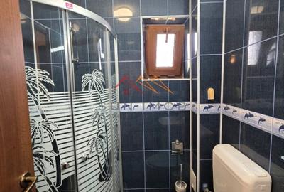 Casa P+1, 3 camere, teren 257 m2, zona rezidentiala deosebita, Campina - 10