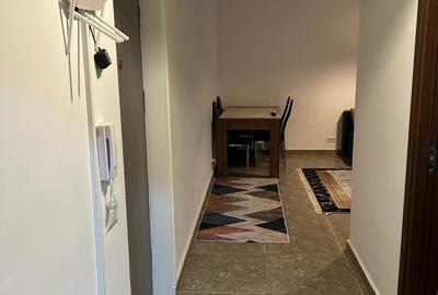 Apartament cu 2 camere decomandat, mobilat în Colentina - 18