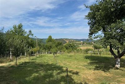 Reco casa in Balnaca - 12