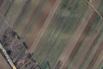 Teren de 11000 mp, în Coșoveni