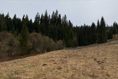 Spațiu comercial, în Central