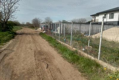 Teren de 5000 mp, în Afumați - 6
