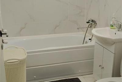 Apartament 1 camera Lunca Cetatuii - 2