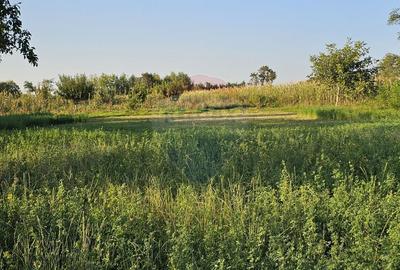 Teren intravilan 1,733mp Mitocasi, Suceava - 13