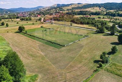 Teren Manastirea Humorului / Strada Principala 22,238 MP - 10