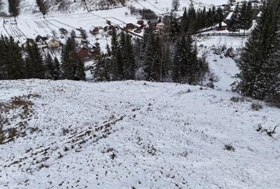 Spațiu comercial, în Pojorâta