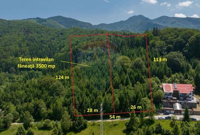 Teren Construcții intravilan de 3500 mp, în Dâmbul Morii - 1