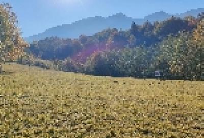 Teren Bran Tohanita 6800mp! - 1