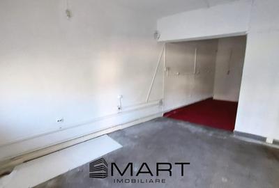 Spatiu Comercial zona Terezian - 2