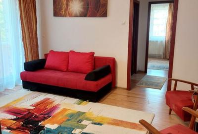 Apartament cu 2 camere semidecomandat în Podu Roș - 8