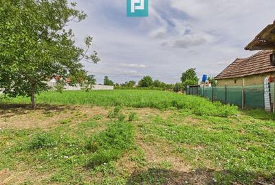 Casă cu 4 camere cu Teren 2171 Mp în Șimand - 2