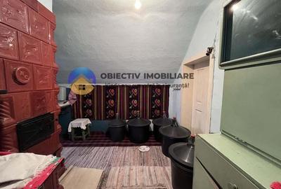 Casă cu 2 camere cu Teren 3054 Mp în Negrești (Dobreni) - 5