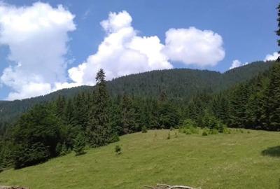 Spațiu comercial, în Dămuc - 2