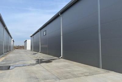 Spatiu depozitare si productie Soseaua de centrua Chitila - 2