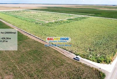 Teren extravilan de 26000 mp, în Vâlcelele - 5