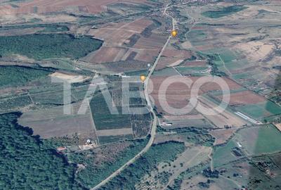 Teren extravilan de 4991 mp la strada principala in Sura Mare - 2