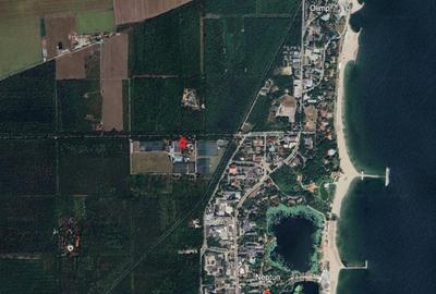 Neptun - Teren construibil in Padurea Comorava - 4