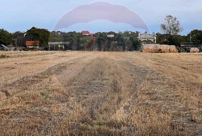 Teren intravilan de vanzare - 2