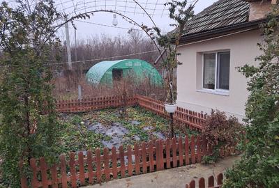 Casă individuală cu 5 camere cu Teren 2776 Mp în Coțofanca - 4