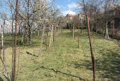 Casă cu 4 camere în Central - 2