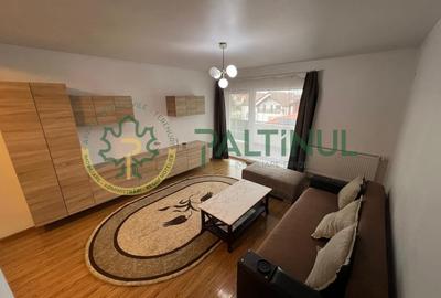 Apartament 3 camere de închiriat în Șelimbăr, Sibiu - 2