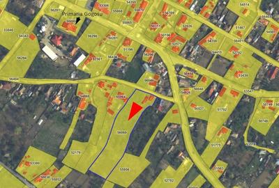 Casă cu teren 6.299 mp, central Gogosu, comision 0% Casă cu teren 6.299 mp, central Gogosu, comision 0% - 4