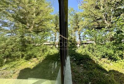 Vila cu 13 camere *4000mp teren* / Piscina / Snagov Vila cu 13 camere *4000mp teren* / Piscina / Snagov - 55