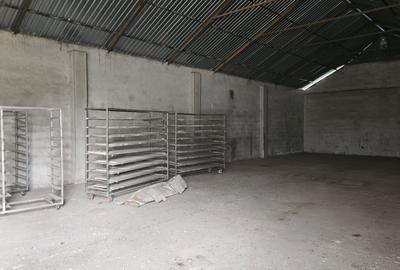 Casă individuală cu 4 camere cu Teren 6700 Mp în Gelu - 15