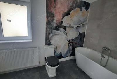 Zona spital TBC (str. Ciocarliei) casa dispusa pe D+P+E, teren 890 mp - 3