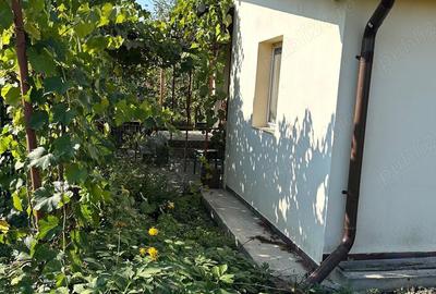Casă cu 2 camere în Valea - 7