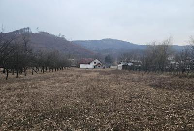 Casă cu 4 camere în Central - 1