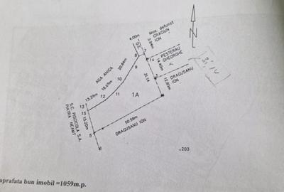 Teren în Pruni - 9