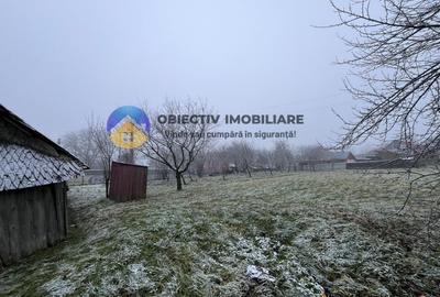 Casa si teren 3054 mp - Negresti - 16