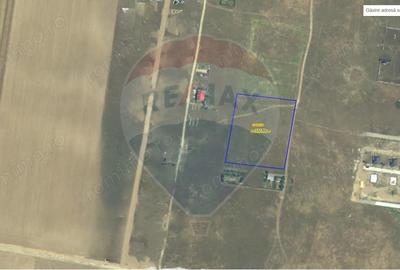 Teren de 10000 mp, în Cârcea - 1