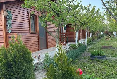 Casă cu 3 camere cu Teren 2700 Mp în Victoria - 1