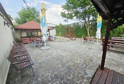 Casă + Afacere + Relaxare = Investiția Perfectă, in Cioranii de Jos - 47