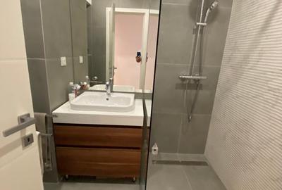 Victoriei / Petru Rareș Loft / Parcare Inclusa - 4