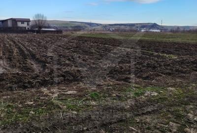 Teren Construcții intravilan de 8500 mp, în Jucu - 1