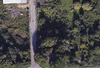 Spațiu comercial, în Narciselor - 4