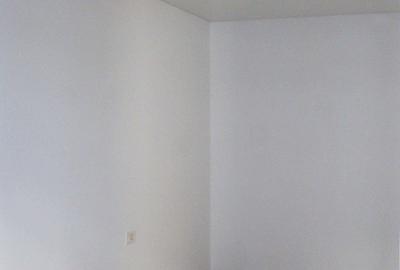 Apartament cu 2 camere decomandat în Sârbi - 7