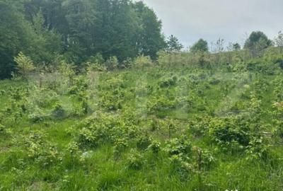 Teren de 3300 mp, în Central