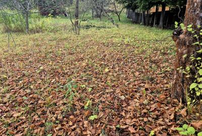 Casa de vacanta Timisu de Sus/Brasov/Oportunitate investitie - 17