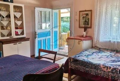 Casă cu Teren 1428 Mp în Silivașu de Câmpie - 4