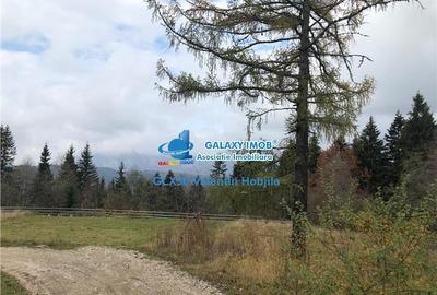 Vanzare teren 850 mp Predeal Cioplea - Belvedere - 2