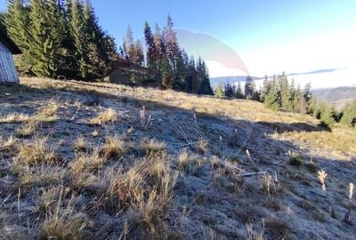 Teren 31,461mp Panaci / Prelungirea Ialovita - 28