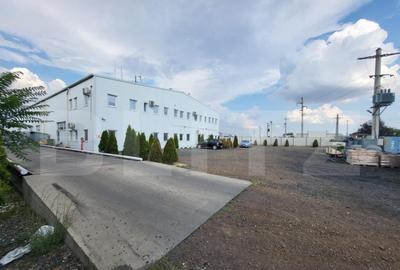 Hala de inchiriat, 1070 mp, platforma betonata, 4500mp teren - 3